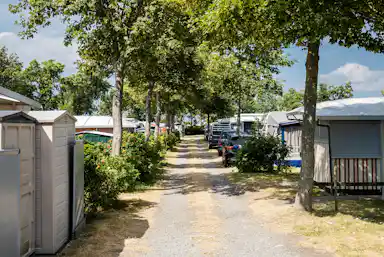 Strandcamping Wallnau