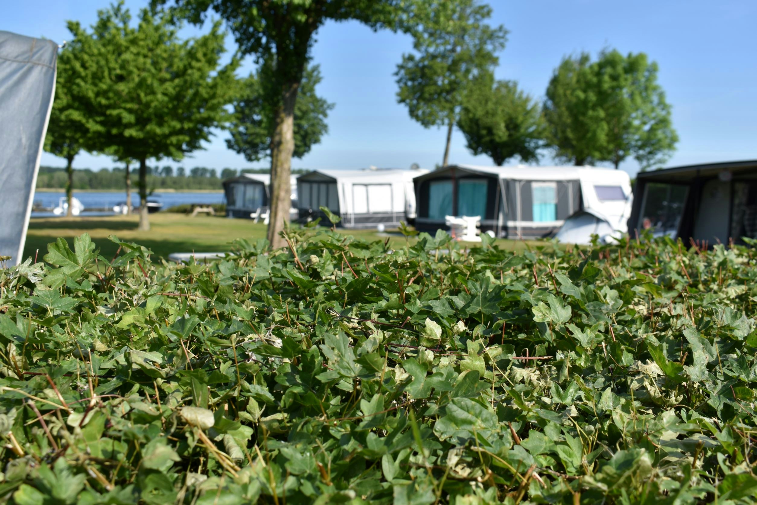 Strandparc Nulde - Standplätze auf dem Campingplatz