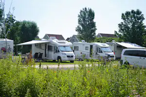 Reihe von Wohnmobilen auf einem Campingplatz, im Vordergrund grünes Gras und Wildblumen, dahinter Bäume und Gebäude.