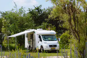 Strandpark Vlugtenburg - Standplätze zwischen den Bäumen auf dem Campingplatz