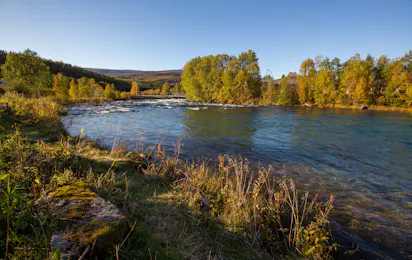 Strømhaug Camping