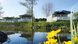 Südsee-Camp