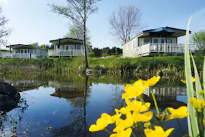 Südsee-Camp - Mobilheime mit Terrasse und Blick auf den See