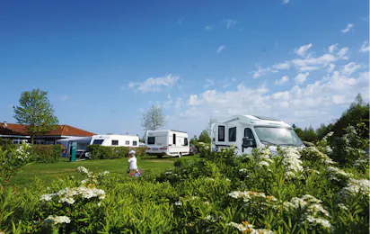 Südsee-Camp