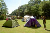 Sund-Camp Altefähr  -  Zeltplatz vom Campingplatz auf grüner Wiese