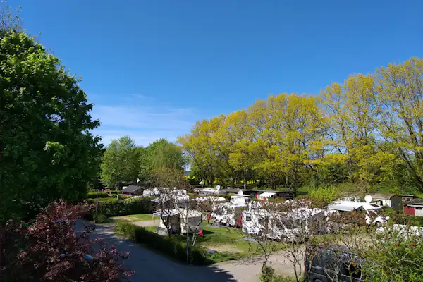 Sund-Camp Altefähr