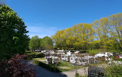 Sund-Camp Altefähr