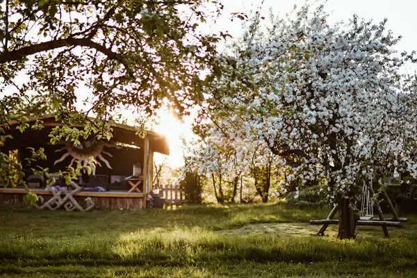 Sunny Nights Camping & Homestead