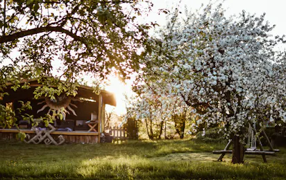 Sunny Nights Camping & Homestead