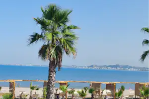 Campingplatz am Meer mit Palmen, kleinen Stellplätzen und Blick auf die Küste im Hintergrund.
