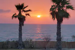 Zwei Palmen am Campingplatz vor dem Meer, im Hintergrund ein Sonnenuntergang mit orangefarbenem Himmel.