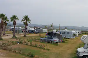 Wohnmobile und Campingfahrzeuge auf einem grasigen Stellplatz, mit Palmen, Wegen und Blick auf Hügel im Hintergrund.