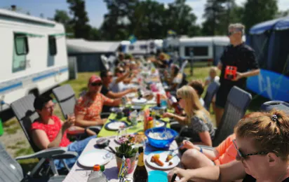 Surfviken