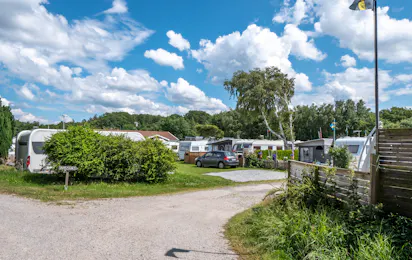 Surfviken