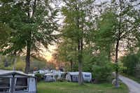 Svendborg Sund Camping - Stellplätze im Grünen