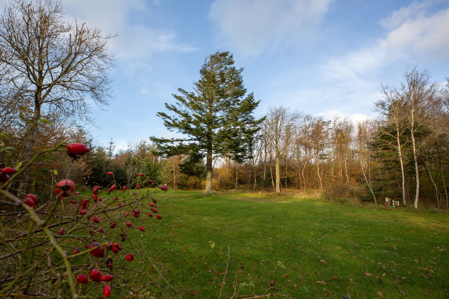 Svinkløv Camping