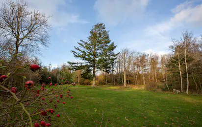 Svinkløv Camping