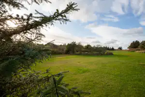 Weite grüne Wiese auf einem Campingplatz, umgeben von Bäumen und Sträuchern, im Hintergrund ein bewölkter Himmel.