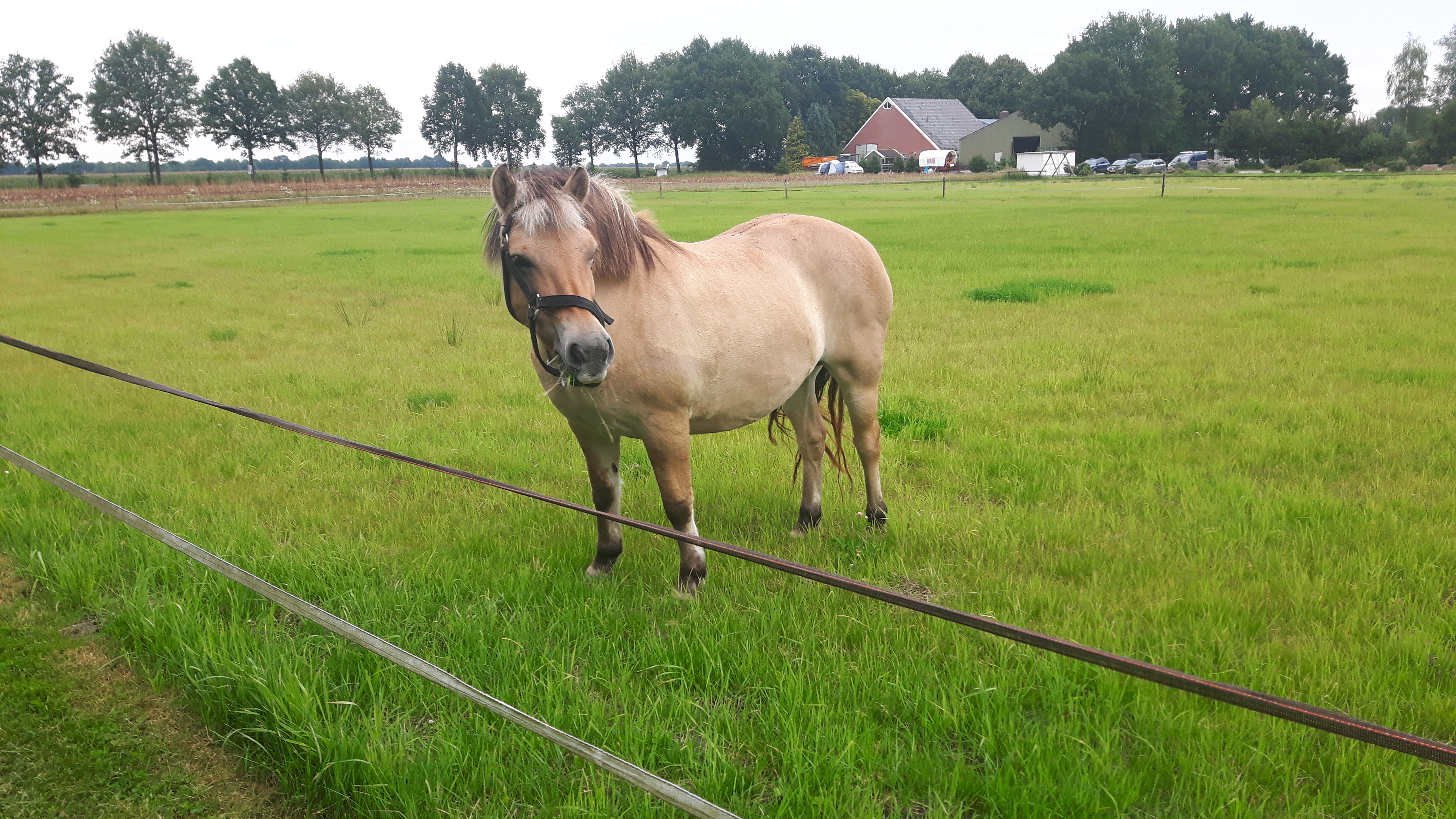 SVR Camping De Hoge Bomen