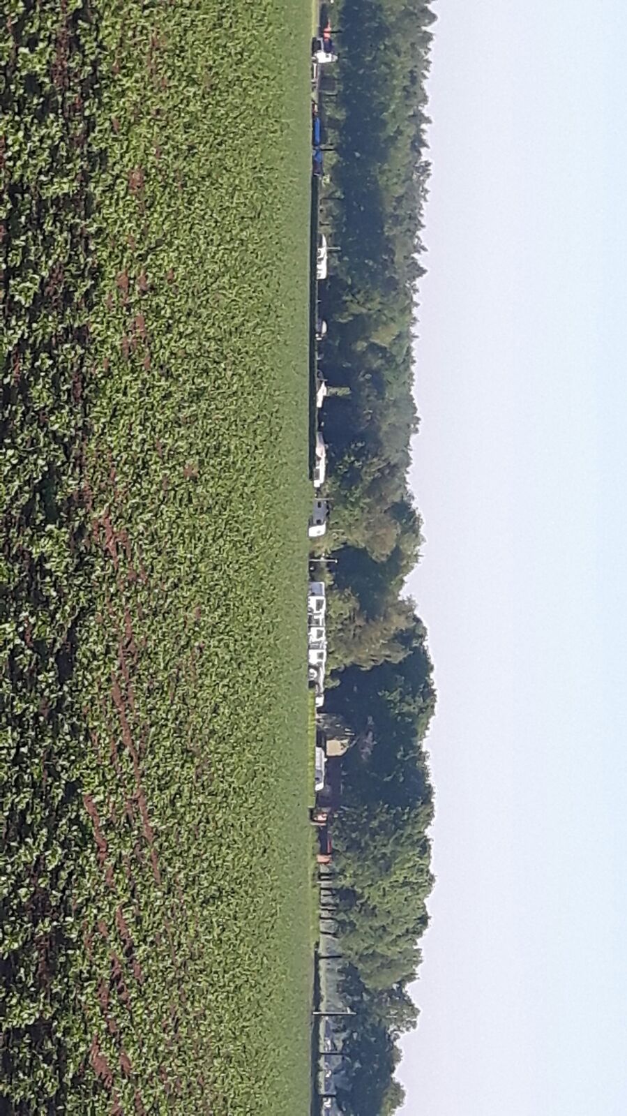 SVR Camping De Hoge Bomen