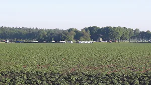 SVR Camping De Hoge Bomen