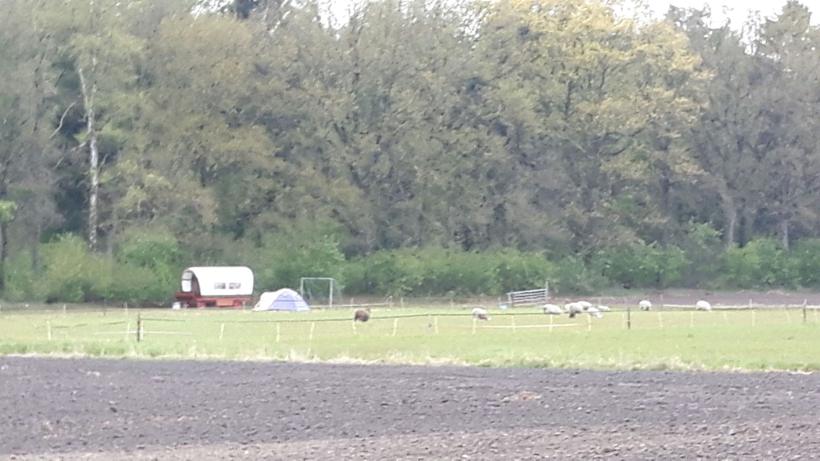 SVR Camping De Hoge Bomen