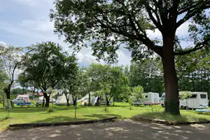 SVR camping en B&B Hoeve de Snippert - Standplätze auf dem Campingplatz
