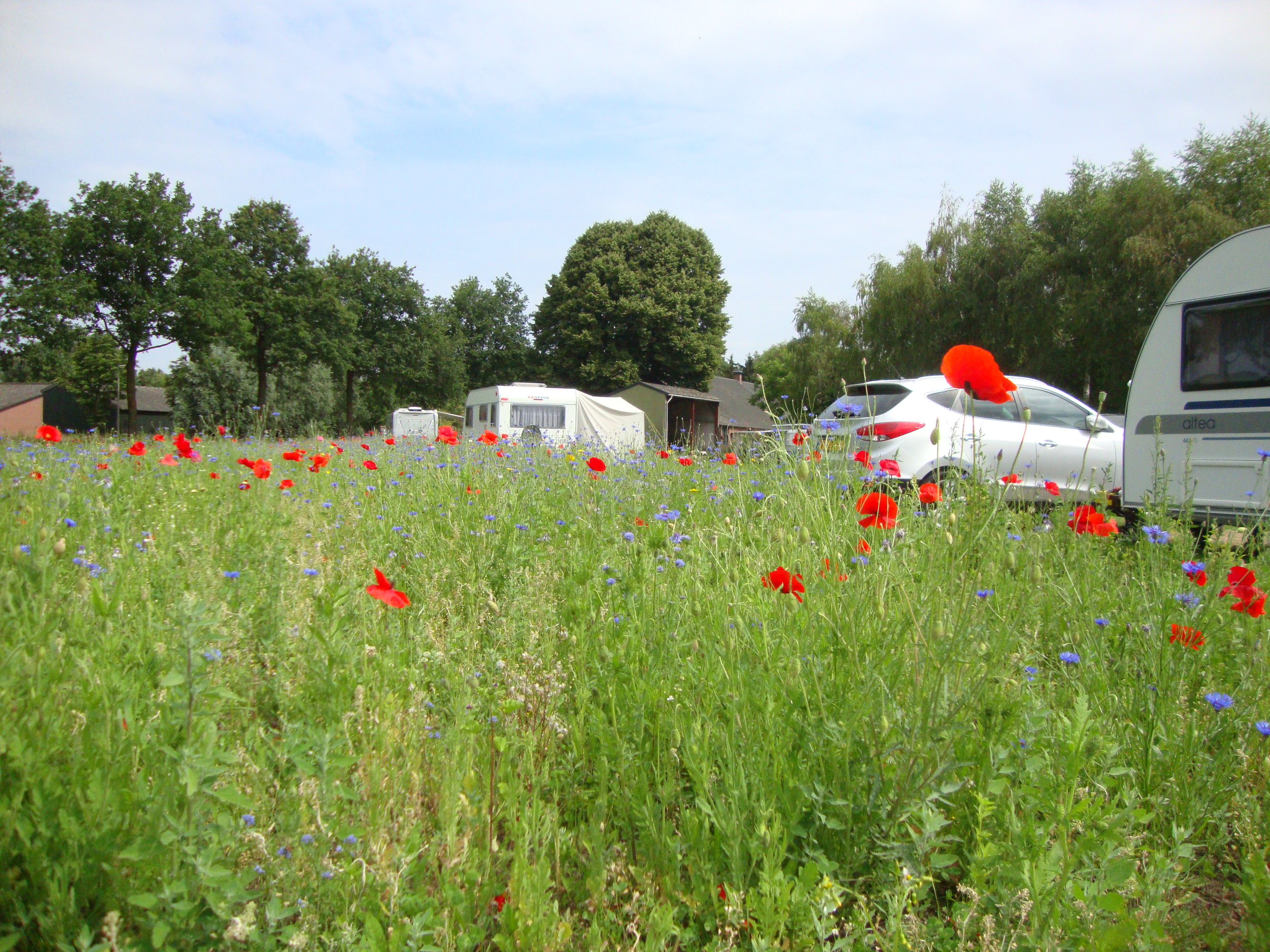 SVR Minicamping 't Zwaluwnest