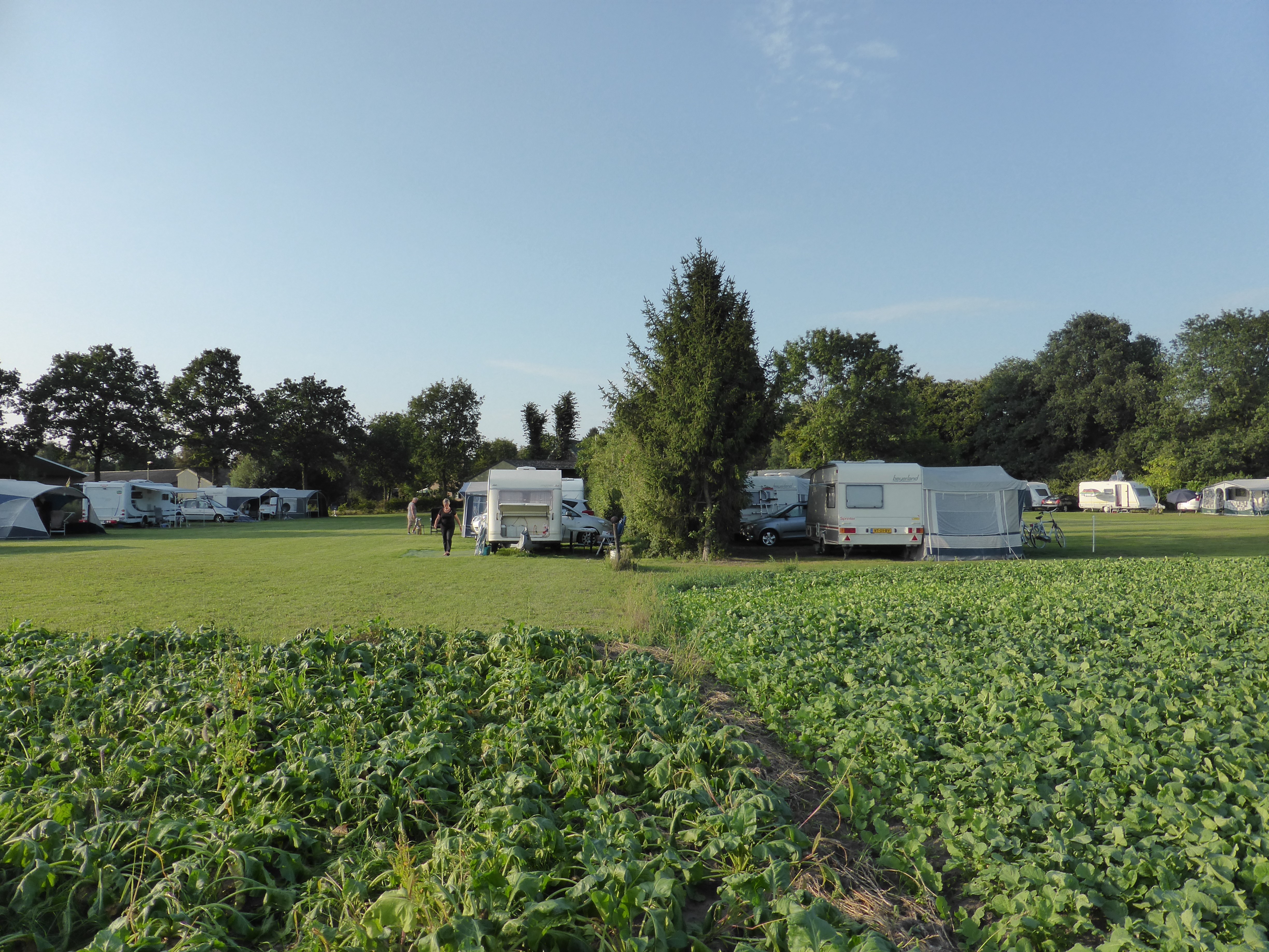 SVR Minicamping 't Zwaluwnest