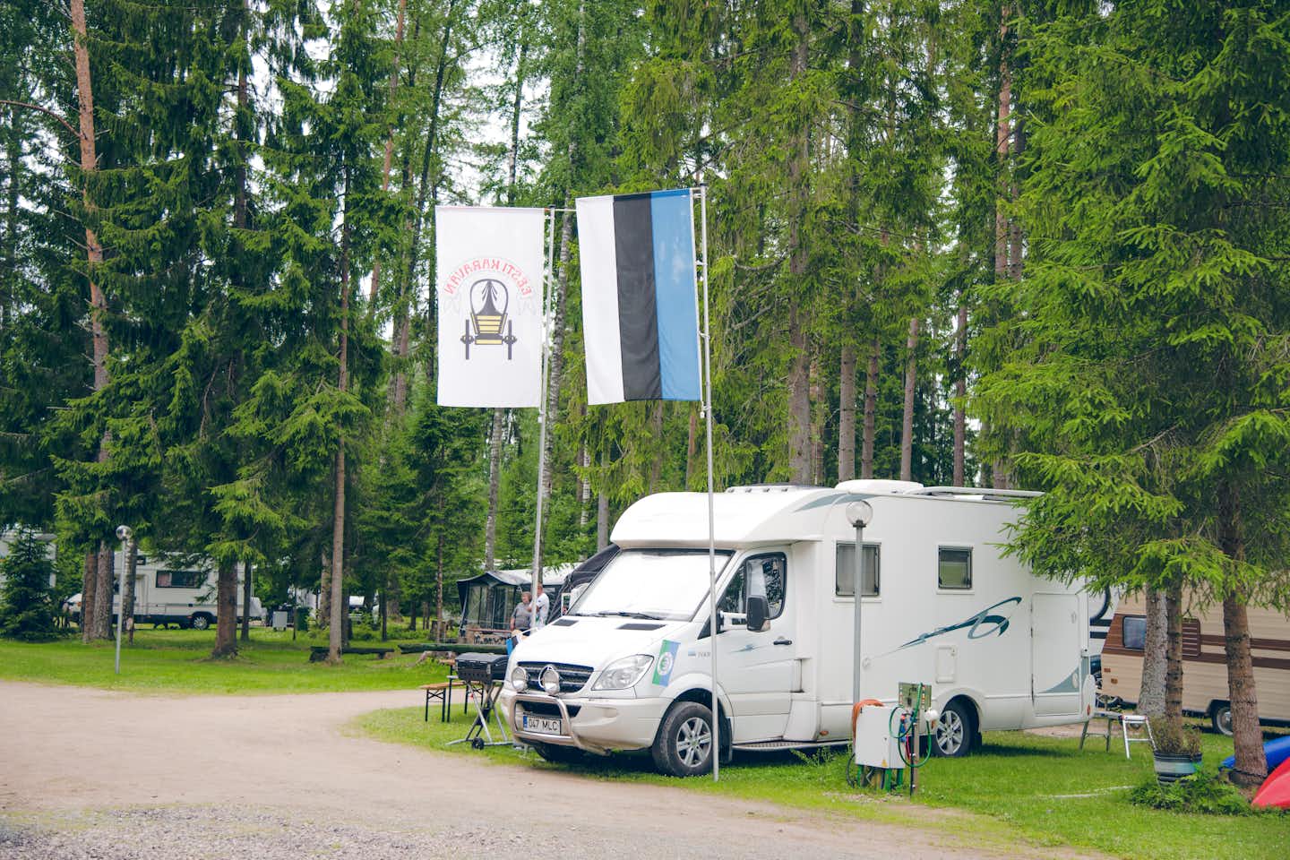 Taevaskoja Salamaa Camping  -  Stellplatz vom Campingplatz zwischen Bäumen