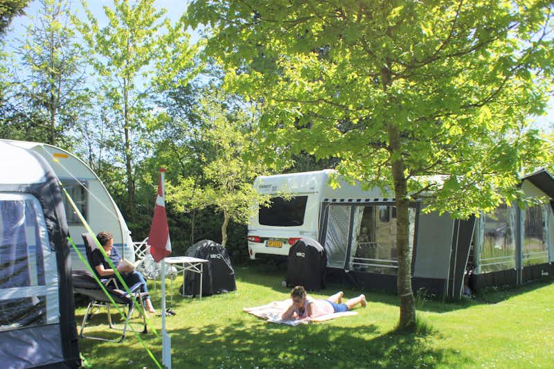 Tarm Camping  -  Wohnwagen- und Zeltstellplatz auf grüner Wiese auf dem Campingplatz