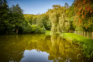 Taunus Fishing Lodge - Campingplatz mit Teich