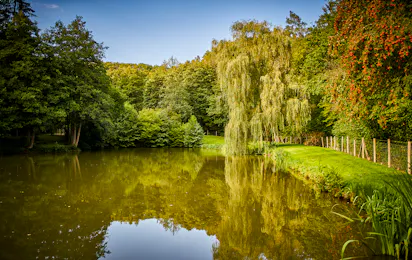 Taunus Fishing Lodge