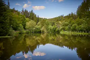 Taunus Fishing Lodge - Teich auf dem Campingplatz