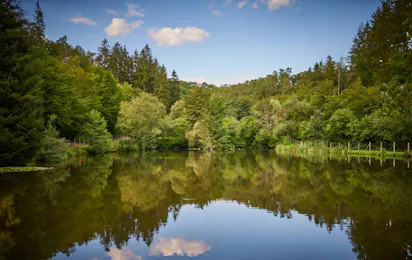 Taunus Fishing Lodge
