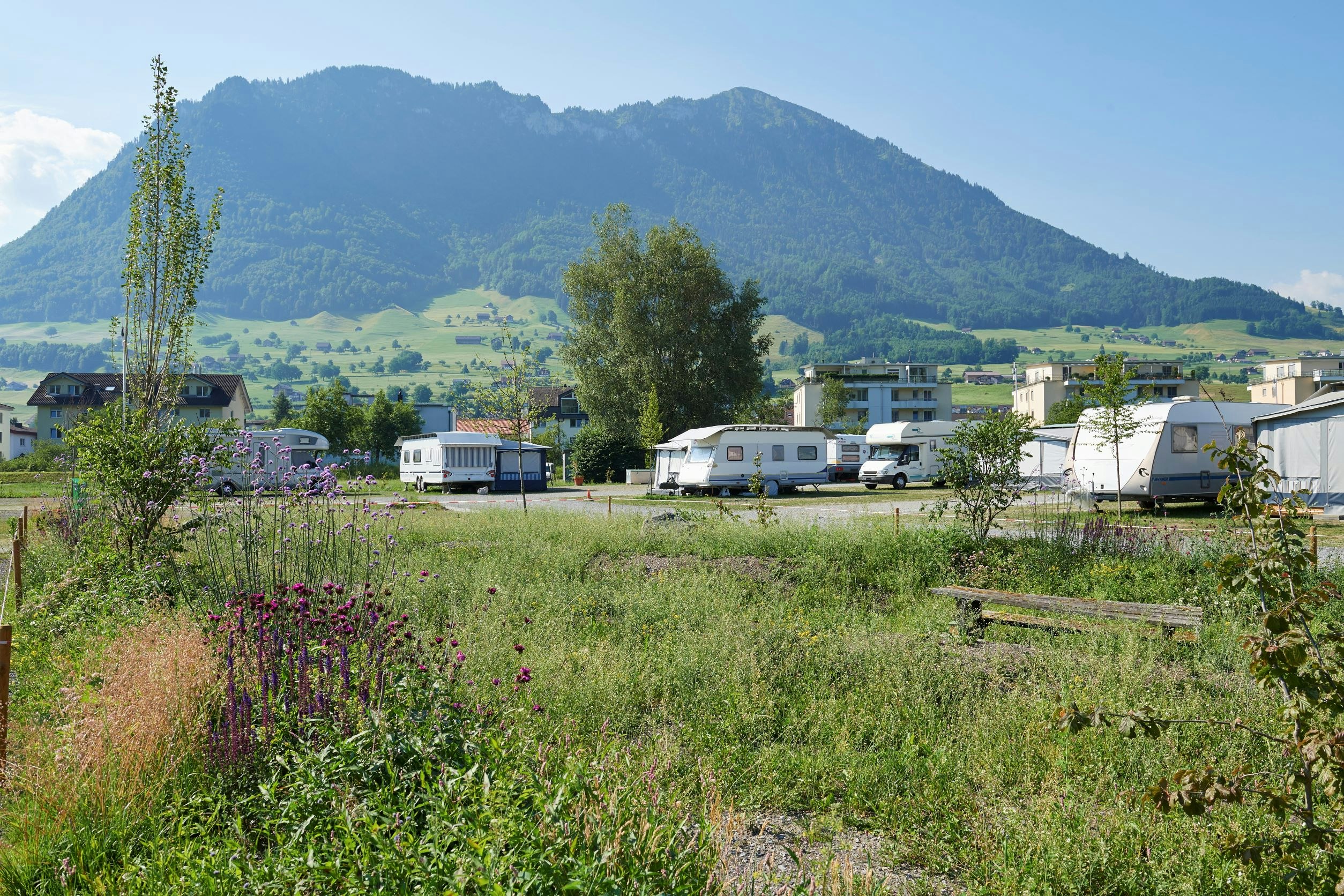 TCS Camping Buochs Vierwaldstättersee  TCS-Camping Buochs Vierwaldstättersee - Stellplätze im Grünen mit Blick auf die Berge