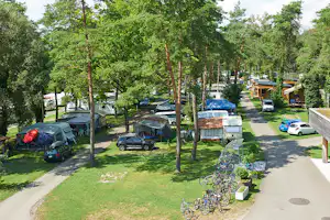 TCS-Camping Flaach am Rhein - Zelt- und Wohnwagenplätze vom Campingplatz Luftaufnahme