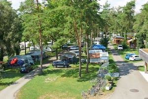 TCS-Camping Flaach am Rhein - Zelt- und Wohnwagenplätze vom Campingplatz Luftaufnahme