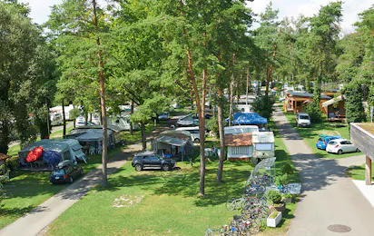 TCS Camping Flaach am Rhein