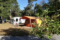 Waldcamping Landquart - Campingbereich für Zelte und Wohnmobile unter Bäumen