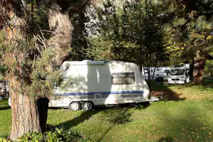 Waldcamping Landquart - Wohnwagen- und Wohnmobilstellplätzen unter Bäumen