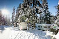 TCS-Camping Lenzerheide - Stellplätze im Schatten unter schneebedeckten Bäumen im Winter auf dem Campingplatz
