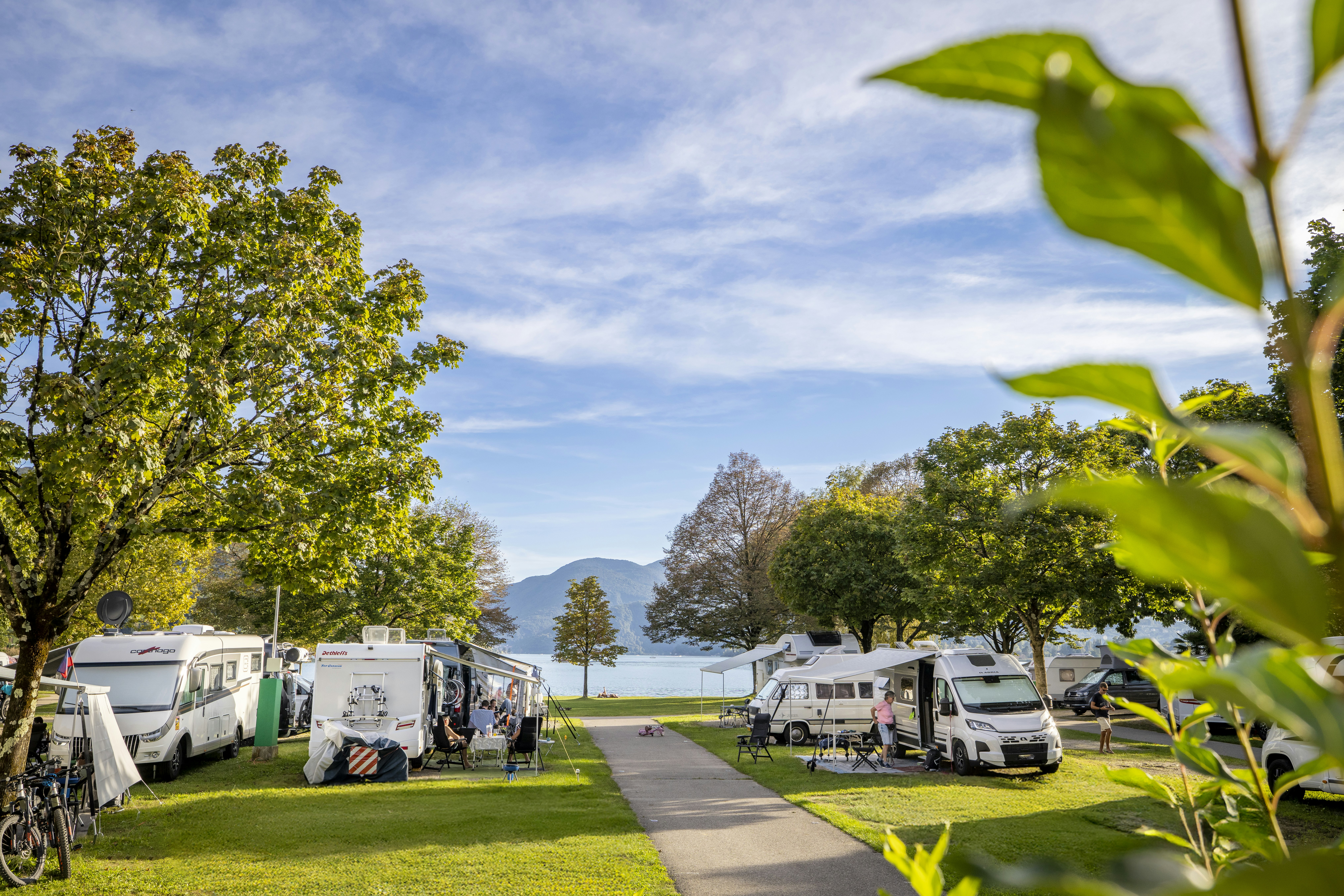TCS Camping Lugano-Muzzano - Standplätze auf dem Campingplatz