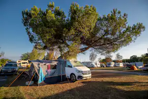 TCS Camping Morges - Stellplätze auf der Wiese