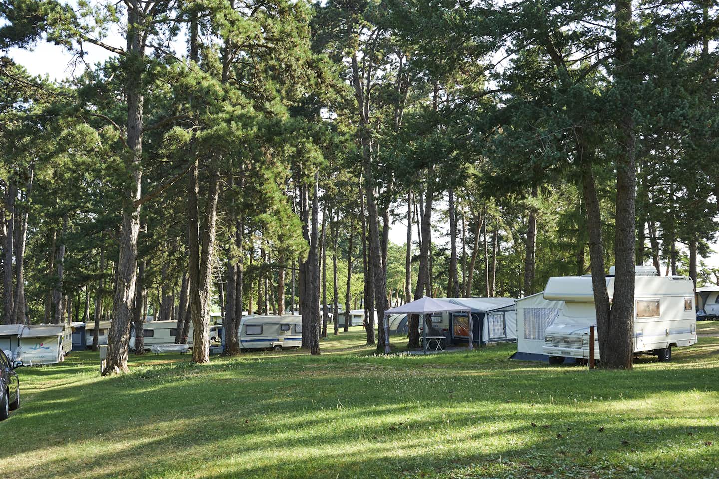 TCS-Camping Orbe - Standplätze auf dem Campingplatz