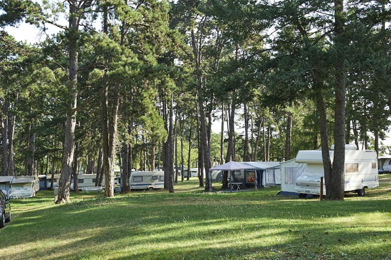 TCS-Camping Orbe - Standplätze auf dem Campingplatz