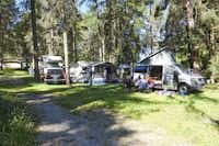 TCS-Camping Scuol - Zeltplatz im Schatten der Bäume auf dem Campingplatz
