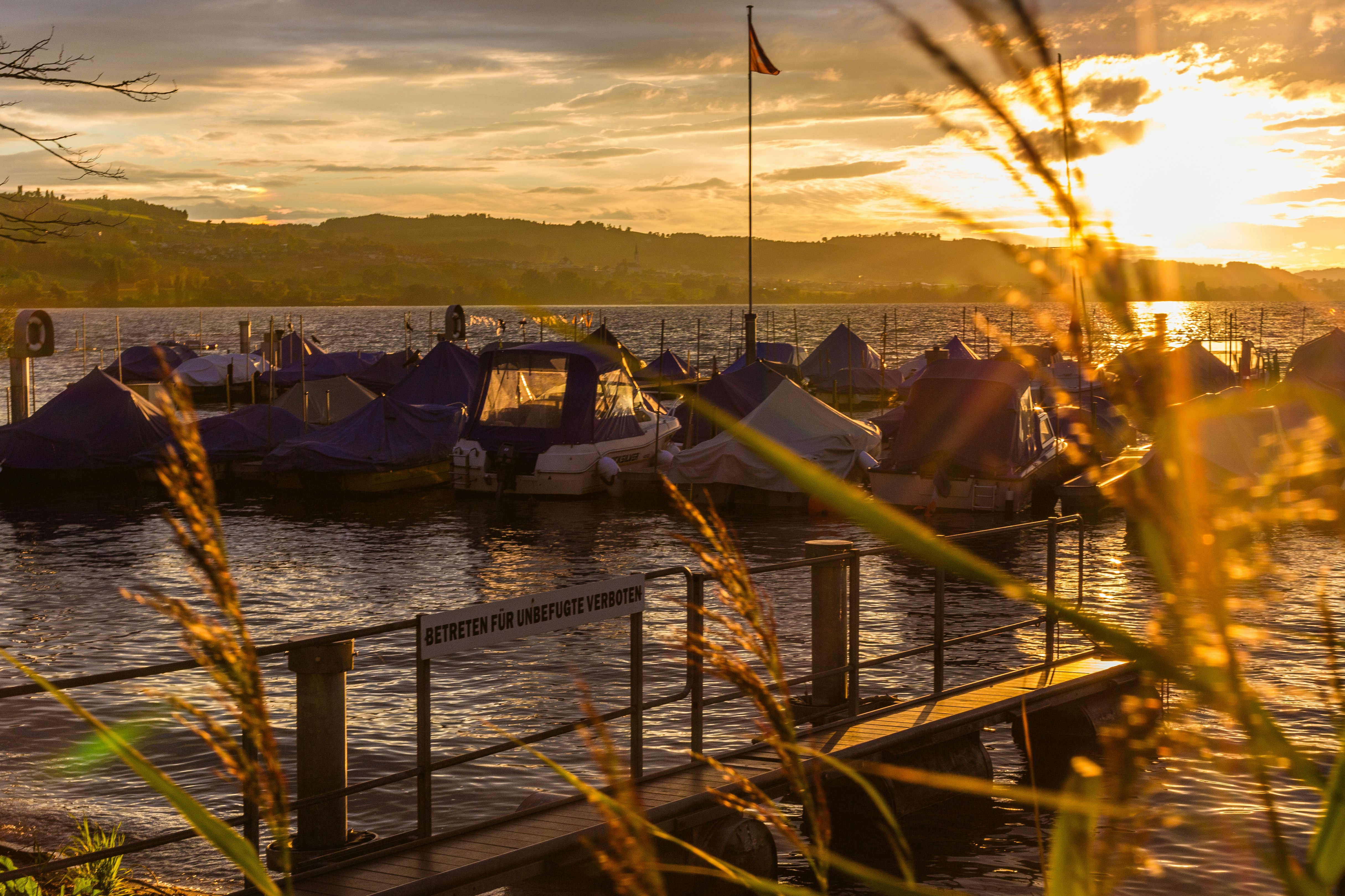 TCS-Camping Sempach - Sonnenuntergang über dem Hafen