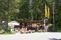 TCS-Camping St. Moritz  -  Rezeption vom Campingplatz zwischen Bäumen