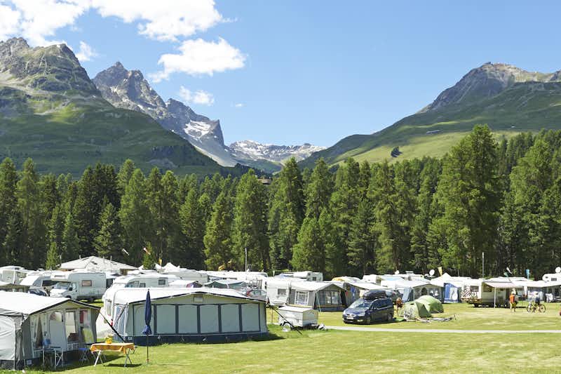TCS-Camping St. Moritz - Zelt- und Wohnwagenstellplatz umringt von Wald auf dem Campingplatz